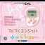 Teku Teku Angel Pocket With DS Teku Teku Diary [White & Precious Pink] - Nintendo DS - Retrocharting