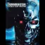 Terminator Dawn of Fate - Xbox - Retrocharting