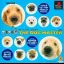 The Dog Master - PlayStation - Retrocharting