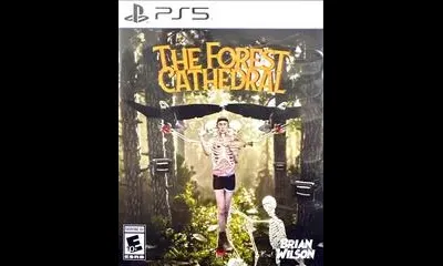 The Forest Cathedral