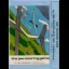 The JSW Soaring Game - ZX Spectrum - Retrocharting