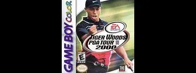Tiger Woods 2000