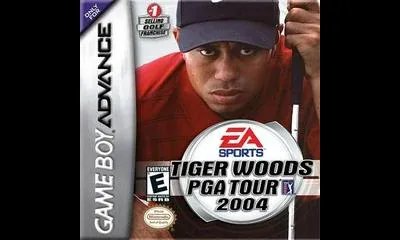 Tiger Woods 2004