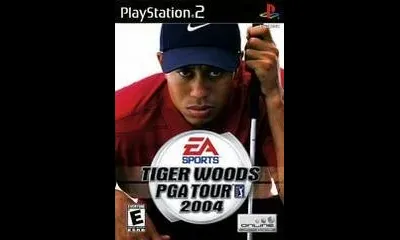 Tiger Woods 2004