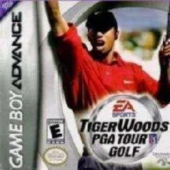 Background - Tiger Woods PGA Tour Golf - Nintendo DS - Retrocharting