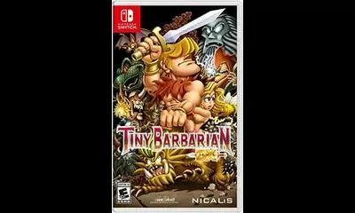 Tiny Barbarian Dx