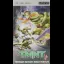 TMNT [UMD] - PSP - Retrocharting