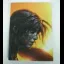 Tomb Raider Collector's Edition [Prima] - Strategy Guide - Retrocharting