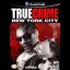 True Crime New York City - Gamecube - Retrocharting