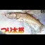 Tsuri Tarou - Famicom - Retrocharting