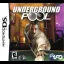 Underground Pool - Nintendo DS - Retrocharting
