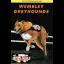 Wembley Greyhounds [Cult] - Nintendo DS - Retrocharting