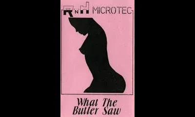 What the Butler Saw