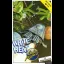 White Heat - ZX Spectrum - Retrocharting