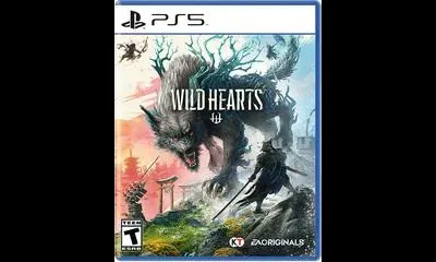 Wild Hearts