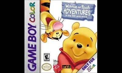 Winnie The Pooh Adventures in the 100 Acre Woods