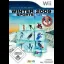 Winter Sports 2009: The Next Challenge - Wii - Retrocharting