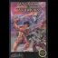 Wizards and Warriors [5 Screw] - Nintendo DS - Retrocharting