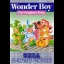 Wonder Boy: The Dragon's Trap - Sega Game Gear - Retrocharting