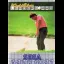 World Class Leaderboard - Sega Game Gear - Retrocharting
