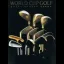 World Cup Golf: Hyatt Dorado Beach - 3DO - Retrocharting