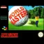 World Masters Golf - Super Nintendo - Retrocharting