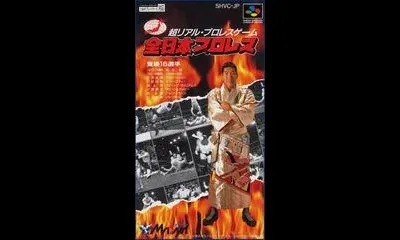 Zen-Nippon Pro Wrestling